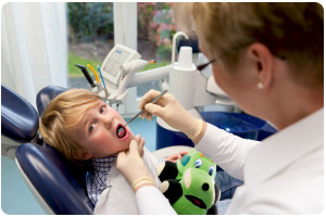 How to Choose The Right Dental Office In Flossmoor Or Homewood I L